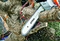 Desbroces de fincas y limpiezas de parcelas Limpieza de parcelas y desbroces forestales