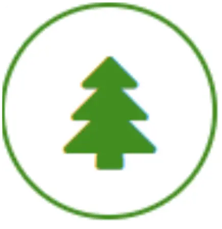 Tala y poda de árboles