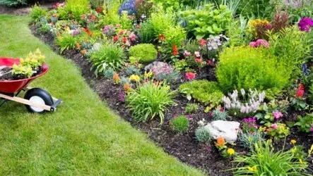 Tala y poda en altura de árboles en Tarragona y Provincia Tala y poda en altura de árboles en Tarragona y Provincia