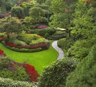 Tala y poda en altura de árboles en Tarragona y Provincia Tala y poda en altura de árboles en Tarragona y Provincia
